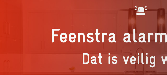 design bouw webdesign bedrijf beveiliging producten feenstra