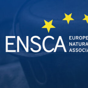 design bouw website europese organisatie brussel